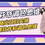 (7563期)达芬奇-调色思维,商业项目实操,打通软件和调色思维(37节课)
