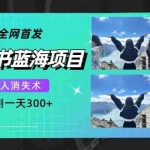 (7537期)全网首发,小红书蓝海项目,路人消失术,实测一天300+(教程+工具)