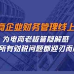 (7504期)电商企业-财务管理线上课:为电商老板答疑解惑-让所有财税问题都迎刃而解