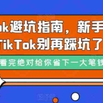 (7460期)TikTok·避坑指南,新手入局Tk别再踩坑了(10节课)