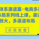 (7458期)八大体系渠道篇·电商多渠道布局系列线上课,渠道放大,多渠道布局