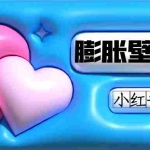(7451期)小红书膨胀壁纸项目玩法,女生最爱的壁纸,0门槛新手也可操作日入300+