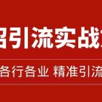 (7386期)精准引流术:11招引流实战方法,让你私域流量加到爆(11节课完整版)