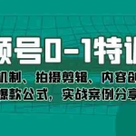 (7373期)视频号0-1特训营:平台机制、拍摄剪辑、内容创作、爆款公式,实战案例分享