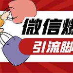 (7368期)【引流必备】微易发特供版/微信全功能营销软件/好友互动 自动回复 收款回复