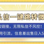 (7350期)外面卖1980的技术!抖音私信一键跳转微信!无风险卡片不屏蔽!