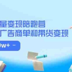 (7347期)小红书流量·变现陪跑营(第8期):私域获客广告商单和带货变现 月入10w+