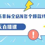 (7343期)打造-淘系-非标全店N多个爆款线上课,5天直播课(19期)