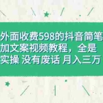 (7327期)外面收费598抖音简笔加文案教程,全是实操 没有废话 月入三万(教程+资料)
