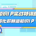 (7317期)知识IP实战特训营,孵化-多赛道知识IP(33节课)