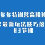 (7295期)2023拼多多·特训营高阶班【9月13日更新】拼多多最新玩法技巧落地实操-83节