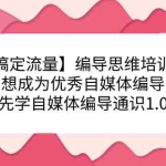(7281期)【搞定流量】编导思维培训班,想成为优秀自媒体编导先学自媒体编导通识1.0