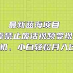 (7276期)最新蓝海项目,靠禁止废话视频变现,一部手机,小白轻松月入过万!