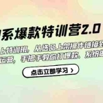 (7250期)淘系爆款特训营2.0【第六期】从选品上架到付费放大 全店运营 打爆款 做好店