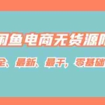 (7215期)闲鱼电商无货源陪跑课,最全、最新、最干,零基础实战!