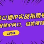 (7202期)短视频口播IP实战指南视频课,踩上短视频IP风口,做能赚钱的生意(22节课)