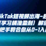 (7195期)海外TikTok短视频出海-启航营(学习精准盈利)解读,手把手教会你从0-1入局