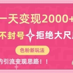 (7166期)一天收款2000元,男粉不封号拒绝大尺度-色粉全新的变现方法