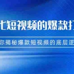 （7161期）商业化短视频的爆款打造课：手把手带你揭秘爆款短视频的底层逻辑（9节课）