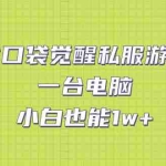 (7113期)靠口袋觉醒私服游戏,一台电脑,小白也能1w+(教程+工具+资料)