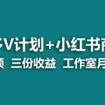 (7099期)【蓝海项目】多多v计划+小红书商单 一个视频三份收益 工作室月入10w打法
