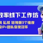 (7095期)变现-效率线下工作坊,从直播间、私域、短视频3个维度 升级IP+团队变现效率