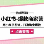 (7096期)小红书-爆款商家营【第18期升级版】用小红书引流,打造淘宝爆款(16节课)