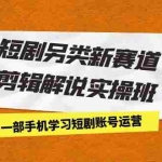 (7051期)短剧另类新赛道剪辑解说实操班:一部手机学习短剧账号运营(29节 价值500)