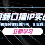 (7043期)某收费培训:短视频口播IP实战营,讲透短视频创业核心方法,让你真正赚到钱