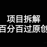 (7001期)项目拆解百分百过原创,解决项目拆解赛道难过原创的问题