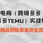 (6989期)跨境电商(跨境多多 海外版多多TEMU)实操教学 从发布商品到售卖发货全流程