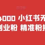 (6982期)首发价值4000 小红书无限艾特暴力引流创业粉 精准粉揭秘教程