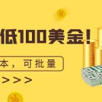 (6975期)单号最低100美金,零成本,小白无脑操作。可复制,可扩大。