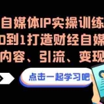 (6968期)自媒体IP实操训练,从0到1打造财经自媒体,打通内容、引流、变现闭环