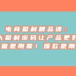 (6954期)电商 盈利精品课:6大盈利 密码让产品更好卖,流量是刚需!爆款是刚需