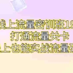 (6955期)线上流量密训班19.0,打通流量关卡,线上也能实战流量破局