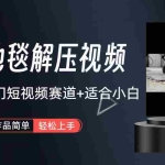 (6938期)超冷门抖音短视频赛道-清洗地毯解压视频-简单无脑怼作品(教程+素材)