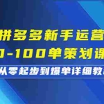 (6920期)拼多多新手运营从0-100单策划课程,从零起步到爆单详细教程