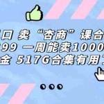 （6917期）情人节风口 卖“杏商”课合集(海王秘籍) 一单99 一周能卖1000单 暴…