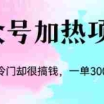 (6916期)冷门公众号加热项目,一单利润300+