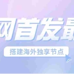 (6912期)全网首发最新海外节点搭建,独享梯子安全稳定运营海外短视频,日入1000+