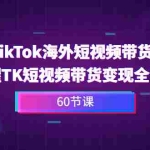 (6890期)2023-TikTok海外短视频带货特训营,掌握TK短视频带货变现全流程(60节课)