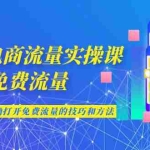 (6880期)2023电商流量实操课-免费流量,学会可收获正确打开免费流量的技巧和方法