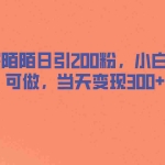 (6817期)探探陌陌日引200粉,小白新手可做,当天就能变现300+