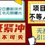 (6862期)小红书8月最新技术无限曝光亲测单账号日引精准粉100+无压力(脚本+教程)