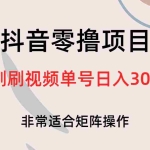 (6844期)抖音零撸项目,刷刷视频单号日入30+