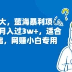 (6806期)市场需求大,蓝海暴利项目,轻松月入过3w+,适合小白0基础,网赚小白专用
