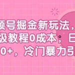 (6802期)视频号掘金新玩法,保姆级教程0成本,日入300+,冷门暴力引流