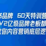 （6798期）小红书品牌 60天特训营第6期 GMV2亿级品牌老板都在学 教你内容营销底层逻辑