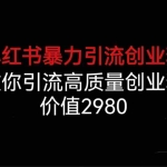 (6779期)小红书暴力引流创业粉,教你引流高质量创业粉,价值2980